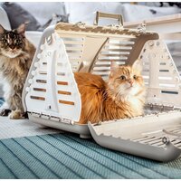 Переноска Rotho Toby 4000807422 - Превью изображения №2 — Интернет-магазин ПроЗаказ