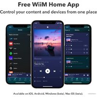 Сетевой интегральный усилитель WiiM Amp (серый) - Превью изображения №7 — Интернет-магазин ПроЗаказ