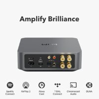 Сетевой интегральный усилитель WiiM Amp (серый) - Превью изображения №3 — Интернет-магазин ПроЗаказ
