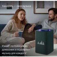 Умная колонка Яндекс Станция Макс (с хабом умного дома Zigbee, зеленый) - Превью изображения №8 — Интернет-магазин ПроЗаказ
