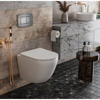 Инсталляция для унитаза Roxen StounFix Dual Fresh 859290 - Превью изображения №3 — Интернет-магазин ПроЗаказ