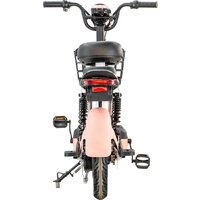 Электроскутер ZeuS Orion (розовый) - Превью изображения №7 — Интернет-магазин ПроЗаказ