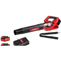 Wortex BB 2536 D ALL1 1333405 (с 2-мя АКБ)