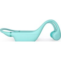 Наушники Philips TAK4607GR/00 - Превью изображения №2 — Интернет-магазин ПроЗаказ