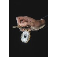 Фонарь Armytek Crystal (зеленый) - Превью изображения №6 — Интернет-магазин ПроЗаказ