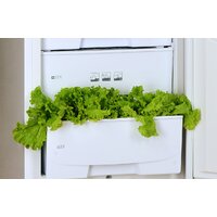 Холодильник POZIS RK-102 (бежевый) - Превью изображения №6 — Интернет-магазин ПроЗаказ