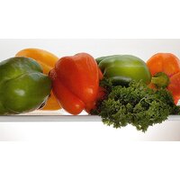 Холодильник POZIS RK-102 (бежевый) - Превью изображения №4 — Интернет-магазин ПроЗаказ