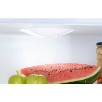 Холодильник POZIS RK-102 (бежевый) - Превью изображения №3 — Интернет-магазин ПроЗаказ