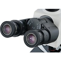 Микроскоп Levenhuk MED 45T тринокулярный 74009 - Превью изображения №5 — Интернет-магазин ПроЗаказ