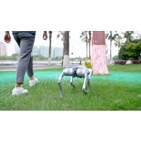 Умный робот-друг Unitree Go2 Air - Превью изображения №21 — Интернет-магазин ПроЗаказ