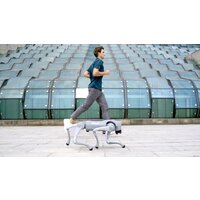 Умный робот-друг Unitree Go2 Air - Превью изображения №19 — Интернет-магазин ПроЗаказ