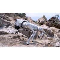 Умный робот-друг Unitree Go2 Air - Превью изображения №23 — Интернет-магазин ПроЗаказ