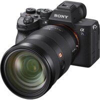 Беззеркальный фотоаппарат Sony Alpha a7S III Body - Превью изображения №7 — Интернет-магазин ПроЗаказ