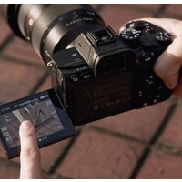 Беззеркальный фотоаппарат Sony Alpha a7S III Body - Превью изображения №21 — Интернет-магазин ПроЗаказ