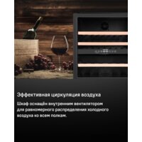 Винный шкаф MAUNFELD MBWC-92D36 - Превью изображения №11 — Интернет-магазин ПроЗаказ