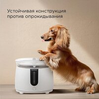 Поилка Redmond (Редмонд) PC5400S - Превью изображения №8 — Интернет-магазин ПроЗаказ
