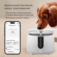 Поилка Redmond (Редмонд) PC5400S - Превью изображения №3 — Интернет-магазин ПроЗаказ