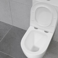 Унитаз напольный Lauter Vortex 2110022VF - Превью изображения №24 — Интернет-магазин ПроЗаказ