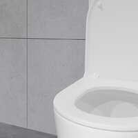 Унитаз напольный Lauter Vortex 2110022VF - Превью изображения №25 — Интернет-магазин ПроЗаказ