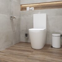 Унитаз напольный Lauter Vortex 2110022VF - Превью изображения №19 — Интернет-магазин ПроЗаказ