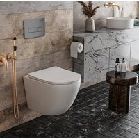 Инсталляция для унитаза Roxen StounFix Dual Fresh 856831 - Превью изображения №4 — Интернет-магазин ПроЗаказ