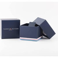 Наручные часы Tommy Hilfiger Luca 1710511 - Превью изображения №5 — Интернет-магазин ПроЗаказ