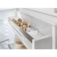 Холодильник Liebherr ICSe 5103 Pure 5103-20001 - Превью изображения №10 — Интернет-магазин ПроЗаказ