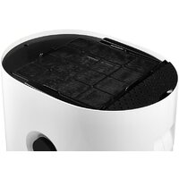 Мойка воздуха Electrolux EHW-600 - Превью изображения №5 — Интернет-магазин ПроЗаказ