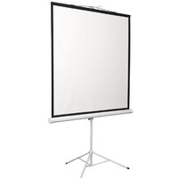 Проекционный экран Digis Kontur-D 178x139 DSKD-4302 - Превью изображения №4 — Интернет-магазин ПроЗаказ