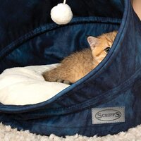 Лежак Scruffs Kensington Cat Cave 661808 (синий) - Превью изображения №2 — Интернет-магазин ПроЗаказ