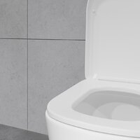 Унитаз напольный Lauter Vortex 2110012VF - Превью изображения №22 — Интернет-магазин ПроЗаказ