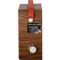 Тепловентилятор Brayer BR4860 - Превью изображения №3 — Интернет-магазин ПроЗаказ