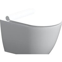 Унитаз подвесной Damixa Scandinavian Pure DX36C1701SC - Превью изображения №2 — Интернет-магазин ПроЗаказ