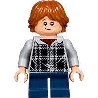 Конструктор LEGO Harry Potter 75955 Хогвартс-экспресс - Превью изображения №11 — Интернет-магазин ПроЗаказ