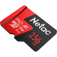 Карта памяти Netac P500 Extreme Pro 256GB NT02P500PRO-256G-S - Превью изображения №2 — Интернет-магазин ПроЗаказ