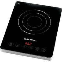 Brayer BR2810
