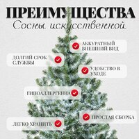 Сосна Erbis Sosna с белыми кончиками 250 - Превью изображения №5 — Интернет-магазин ПроЗаказ