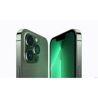 Смартфон Apple iPhone 13 Pro Max 128GB Восстановленный by Breezy, грейд B (альпийский зеленый) - Превью изображения №2 — Интернет-магазин ПроЗаказ
