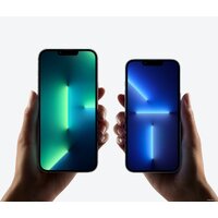 Смартфон Apple iPhone 13 Pro Max 128GB Восстановленный by Breezy, грейд B (альпийский зеленый) - Превью изображения №5 — Интернет-магазин ПроЗаказ