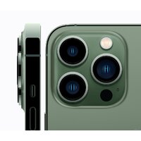 Смартфон Apple iPhone 13 Pro Max 128GB Восстановленный by Breezy, грейд B (альпийский зеленый) - Превью изображения №3 — Интернет-магазин ПроЗаказ