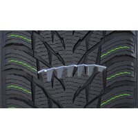 Зимние шины Nokian Tyres Hakkapeliitta R3 225/55R17 101R - Превью изображения №11 — Интернет-магазин ПроЗаказ