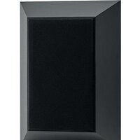 Настенная акустика Focal Theva Surround - Превью изображения №2 — Интернет-магазин ПроЗаказ
