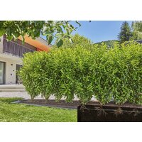 Шланг для капельного полива Gardena 13503-20 (1/2