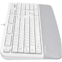 Клавиатура A4Tech Fstyler FK20 (белый) - Превью изображения №9 — Интернет-магазин ПроЗаказ