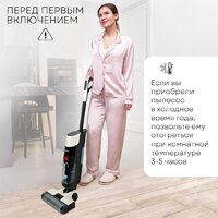 Вертикальный моющий пылесос Planta PL-CW201 - Превью изображения №17 — Интернет-магазин ПроЗаказ