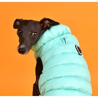 Жилетка для животных Puppia Ultra Light Vest B PAPD-JM1671-SB-XL (бирюзовый) - Превью изображения №4 — Интернет-магазин ПроЗаказ