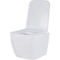 Унитаз подвесной Asten Readle Zentralmodul AR0601-135B - Превью изображения №10 — Интернет-магазин ПроЗаказ