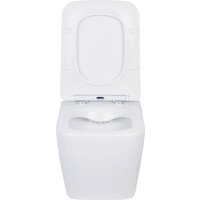 Унитаз подвесной Asten Readle Zentralmodul AR0601-135B - Превью изображения №13 — Интернет-магазин ПроЗаказ