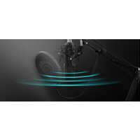 Проводной микрофон Genesis Radium 300 XLR - Превью изображения №11 — Интернет-магазин ПроЗаказ