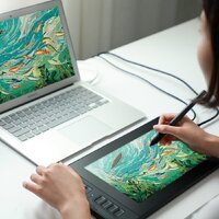 Графический монитор Gaomon PD1161 - Превью изображения №3 — Интернет-магазин ПроЗаказ